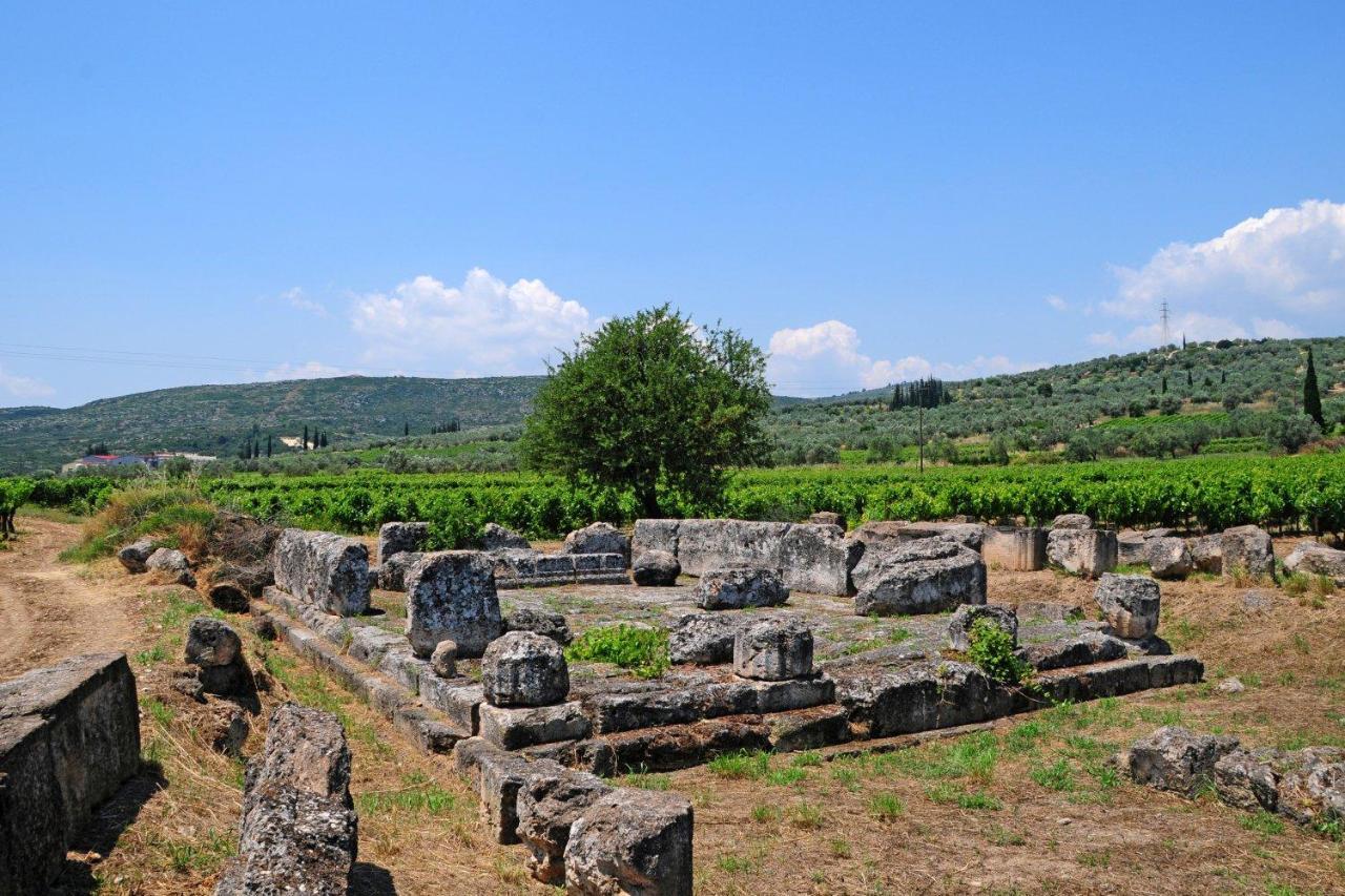 Georgia'S Village House Kondostavlos Εξωτερικό φωτογραφία