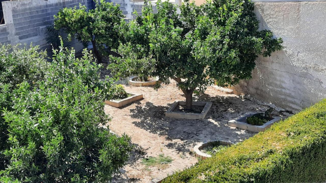 Georgia'S Village House Kondostavlos Εξωτερικό φωτογραφία
