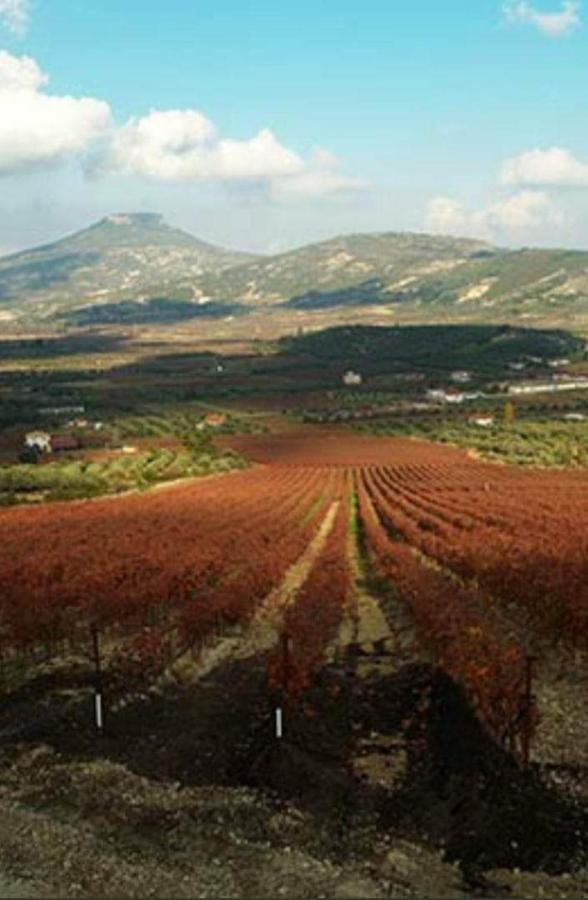 Georgia'S Village House Kondostavlos Εξωτερικό φωτογραφία