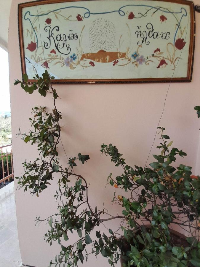 Georgia'S Village House Kondostavlos Εξωτερικό φωτογραφία